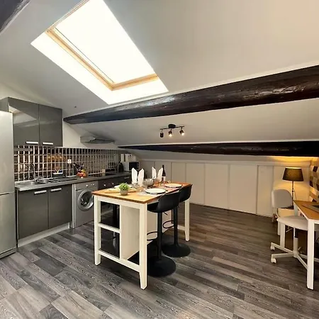 Charme Urbain Sous Les Toits-terrasse/clim/parking Lejlighed *