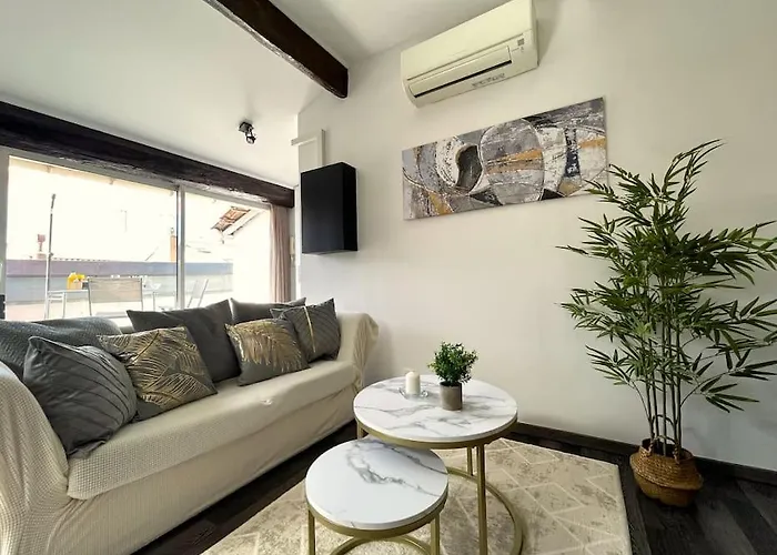 Charme Urbain Sous Les Toits-terrasse/clim/parking Μπεζιέ